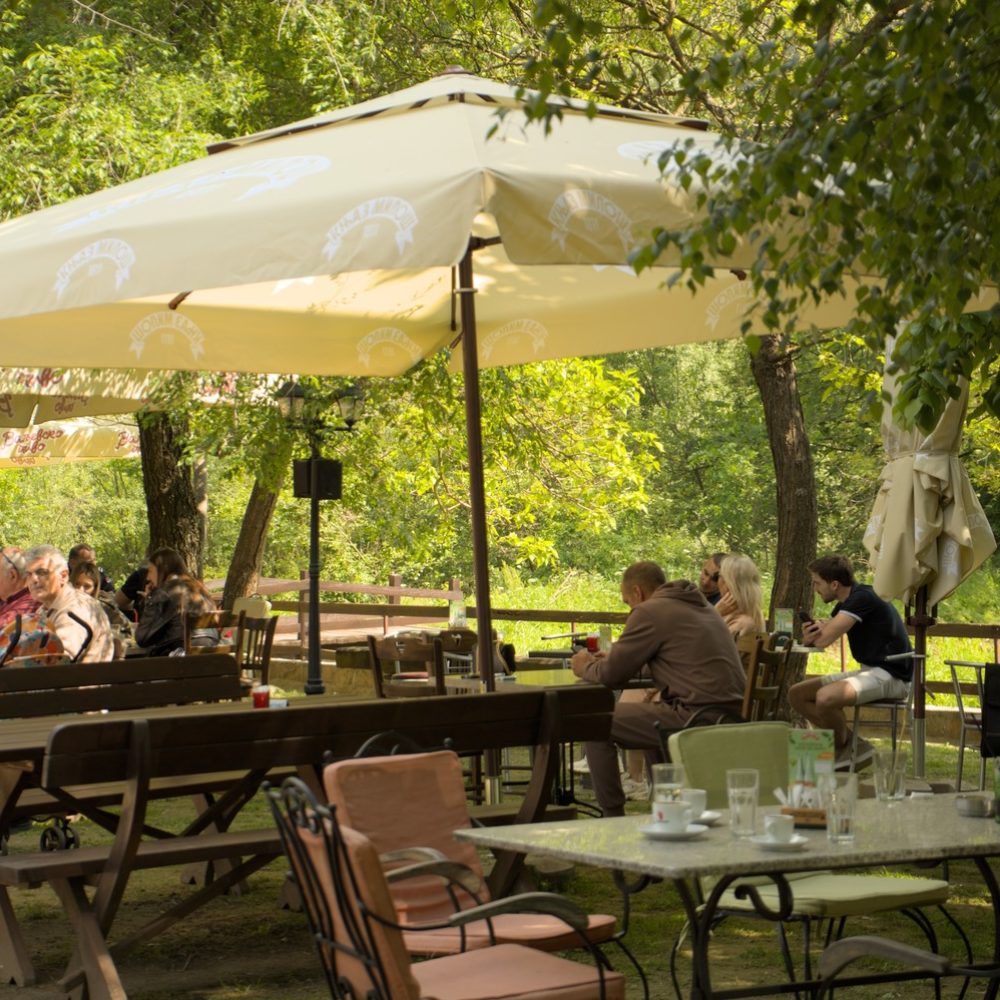 Slika lepog sunčanog dana u bašti Restorana Brana ljudi sede i uživaju u hladu miru i dobroj hrani